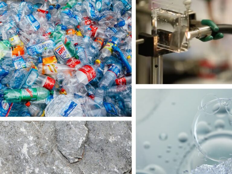 Translational-Fund-graphic-1-1024×576