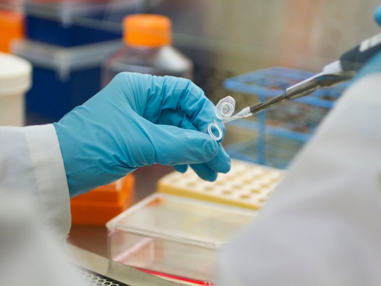 A person in a lab filling test tubes