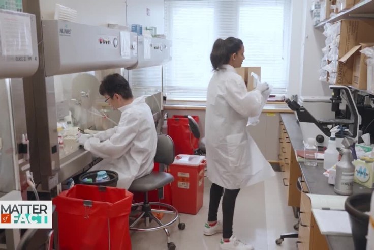 Two researchers in a lab