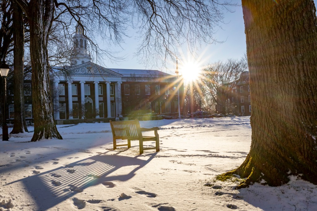 Sun shining on a bench in front of the HBS Baker Library.