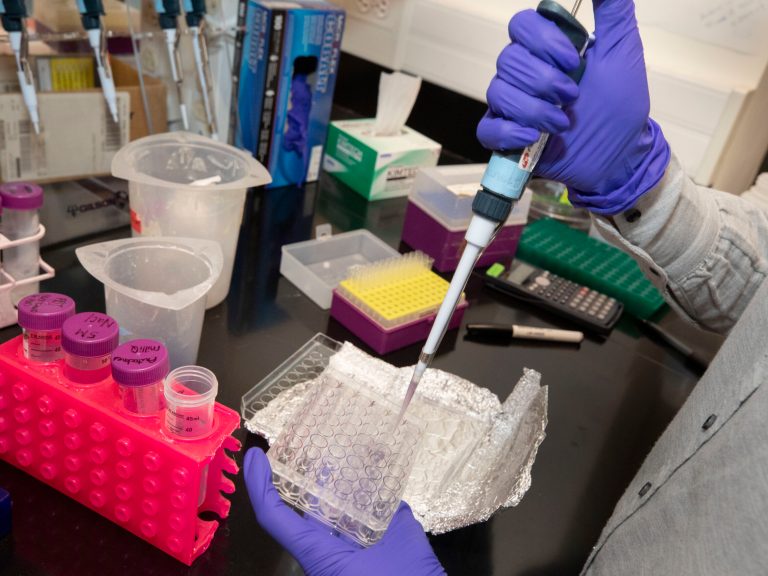 A gloved hand pipetting