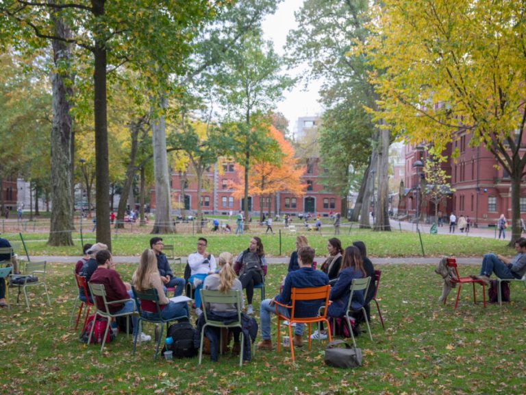 Group of students sitting on a circle on a tree-lined green campus
