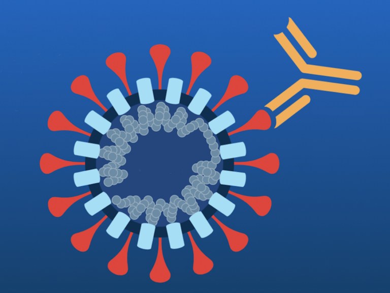 graphic of a viral antigen.