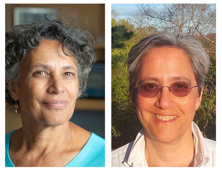 A diptych of two professors