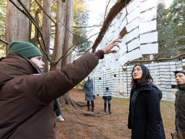 A person pointing out cards hanging from trees