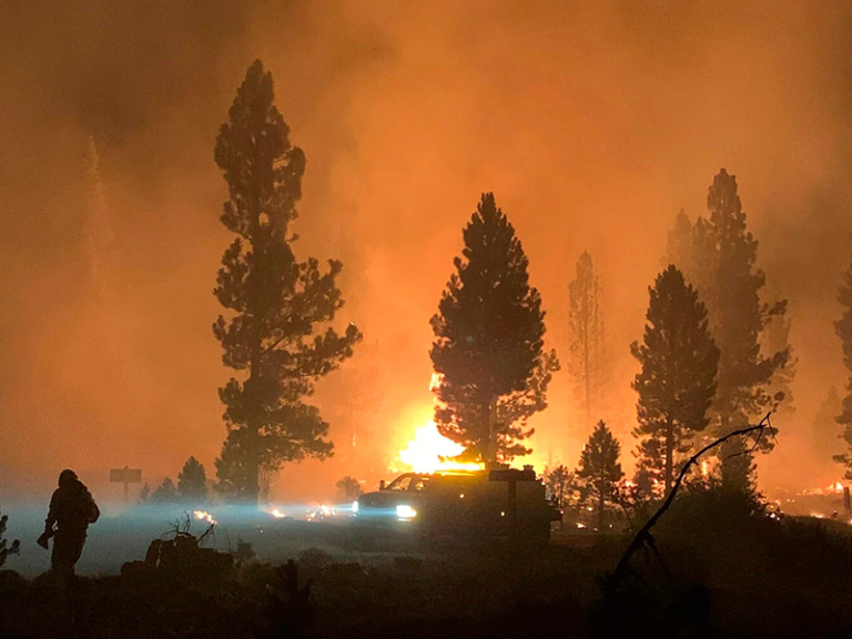 Firefighters battle a forest fire