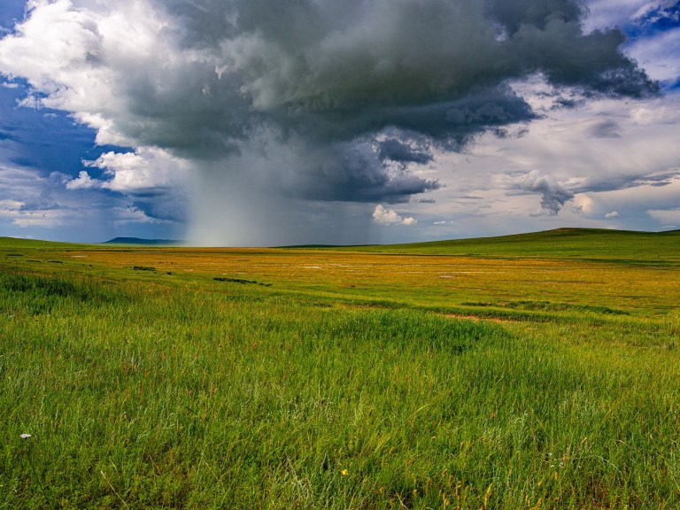 A field with storm clouds in the background