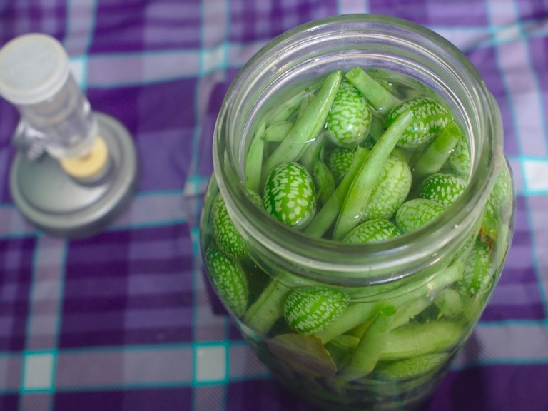 A jar of pickled beans and cucumbers