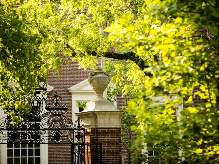 A fence and tree from Harvard Yard