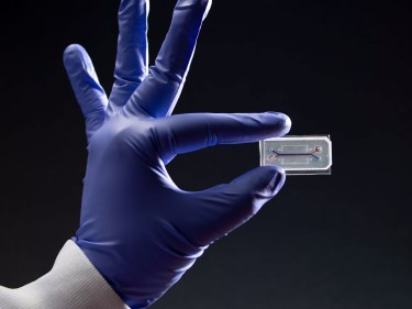 A hand holding a clear plastic chip