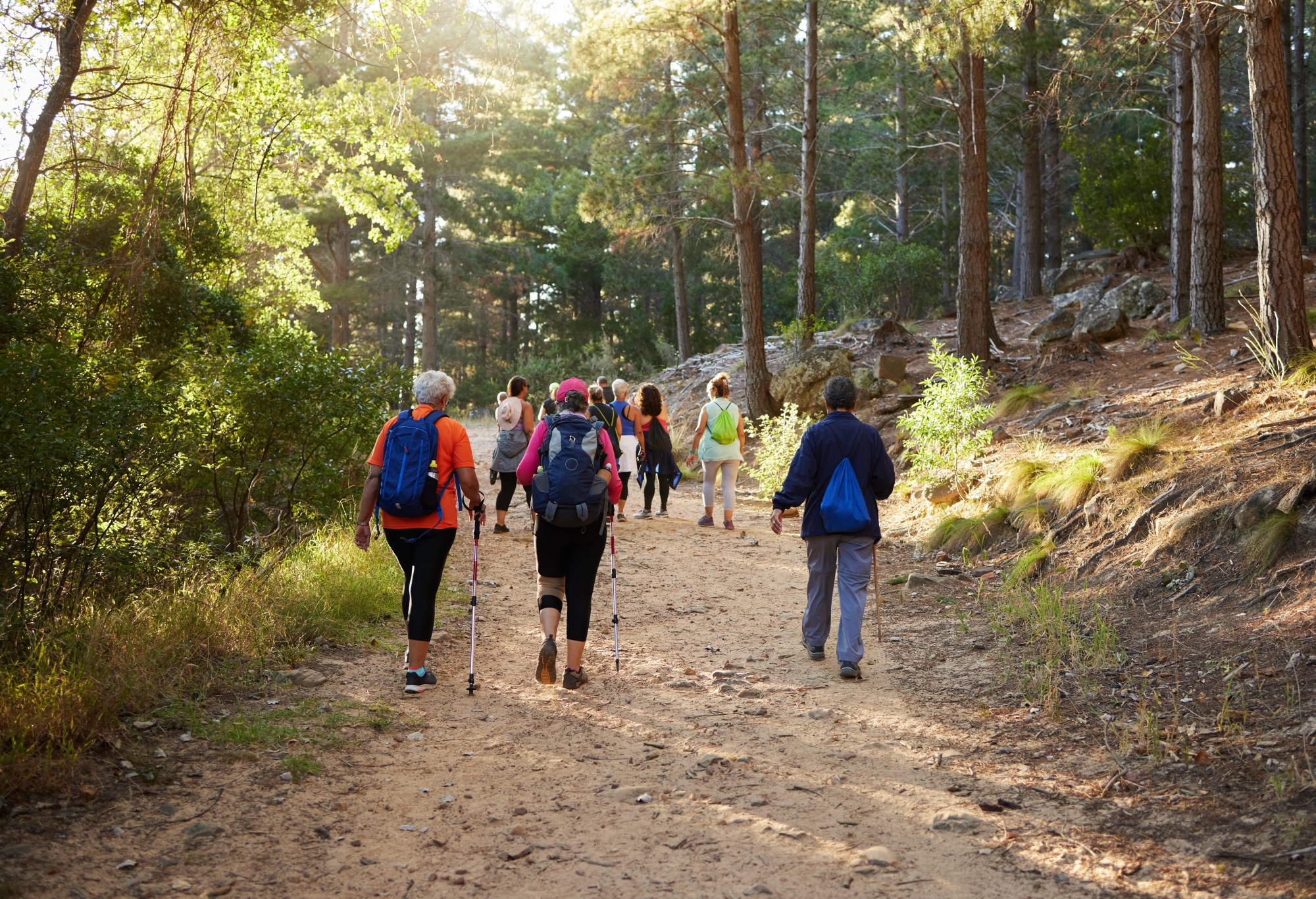 People walking in the woods